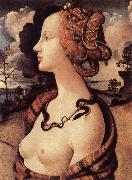 Piero di Cosimo Portrat of Simonetta Vespucci Sweden oil painting artist